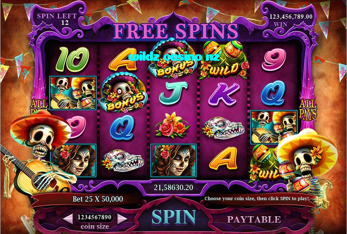 making first deposit on wildz casino nz website using local payment methods in Pakistan
